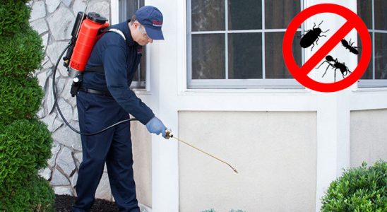 Ortaca Fare İlaçlama böcek ilaçlama ve haşere kontrolü — ilaclama-tr.com